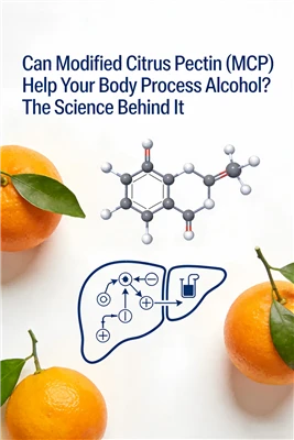 A All Sitrws Pectin Wedi'i Addasu (MCP) Helpu Eich Corff i Brosesu Alcohol? Y...